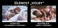 šílenost volby šílenost volby